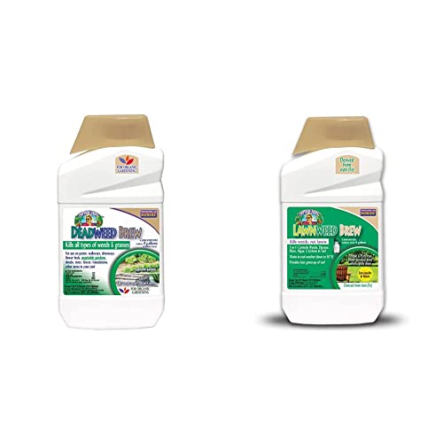 Bonide 2601 Captain Jack's Deadweed Brew Herbicide, Qt. Concentrate - Quantity 1 & Captain Jack's Lawnweed Brew, 32 Oz Concentrate, Fast-Acting Formula Controls Weeds, Moss, Algae, Lichens & Disease #TOP13