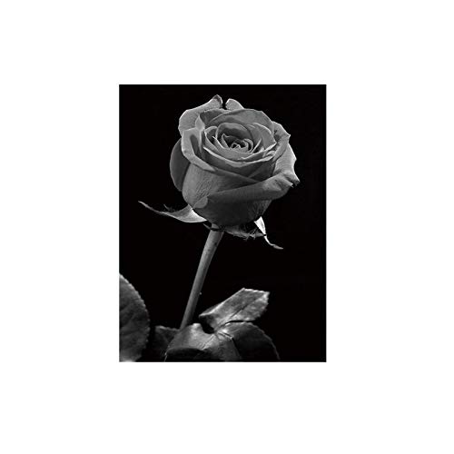 Giclée Roses Toile Art Peinture Fine Impression Grand Format