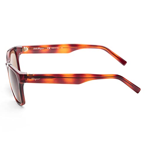 SALVATORE FERRAGAMO Rectangle Sunglasses SF959S 214 Havana 55mm 9594