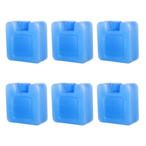 Blocs de glace pour congélateur et pique-nique en plein air lot de 6