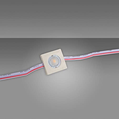 20x 1er LED Power Module HL01 0.36W 6500K 12V IP65