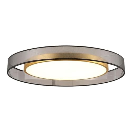 Plafonniers simples modernes à intensité variable pour un éclairage sur mesure