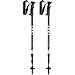 LEKI Voyager Trekking Poles