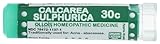 Ollois Lactose Free Homeopathic Medicines, Calcarea Sulphurica 30C Pellets, 80 Count