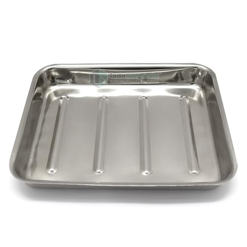 Image of IS IndoSurgicals Stainless Steel Instrument Tray with Cover, Deluxe Quality (1, 18 inchX12 inchX2 inch)
