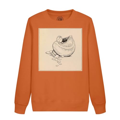 Sweat enfant motif conte de fées coquillage pour stimuler l'imagination des petits