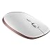Produktbild FENIFOX Tragbare optische Maus, 2,4 G Nano-Empfänger, kompatibel mit Laptop, Notebook, Tablet, PC Computer, einstellbare DPI 800/1200/1600 (Rotgold)