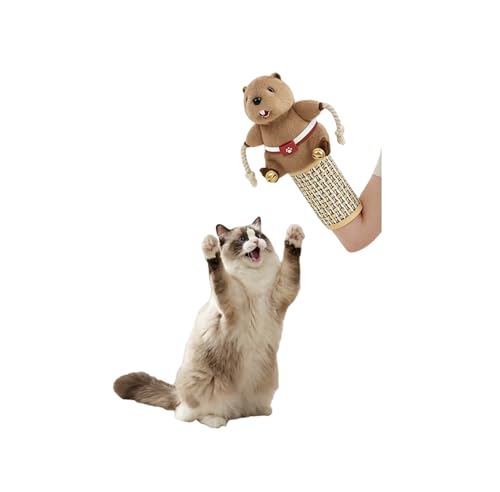 RoseYouth Interactive Cat Toys Cute Play Set with Wrestling Glove Karate Kitty Wrestling Puppet Fun Interactive Toy for Indoor Cats & Kittens (Brown mice)