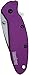 Kershaw Scallion Purple Folding Knife (1620PUR), 2.4 Bead-Blasted 420HC Steel Blade, Anodized Aluminum Handle, SpeedSafe Assisted Open, Flipper, Liner and Tip Lock, Single-Position Pocketclip; 2.5 OZ