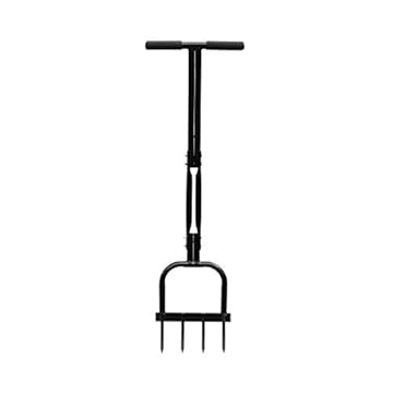 lawn aeration carmel