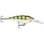 Yellow Perch