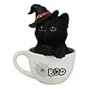 Ebros Lifelike Witching Hour Halloween Black Cat with Witch Hat in White Spider Web Boo Tea Cup Pet Pal Figurine with Glass Eyes Witches Wicca Occult Feline Cats Kittens Decor Figurine