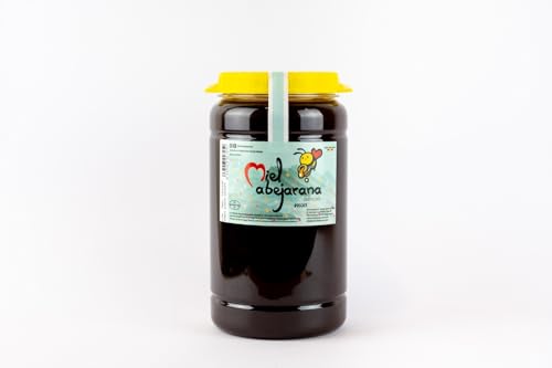 Miel Abejarana Miel Natural de Bosque, 2 kg, Envase con Tapa y Asa, Origen España