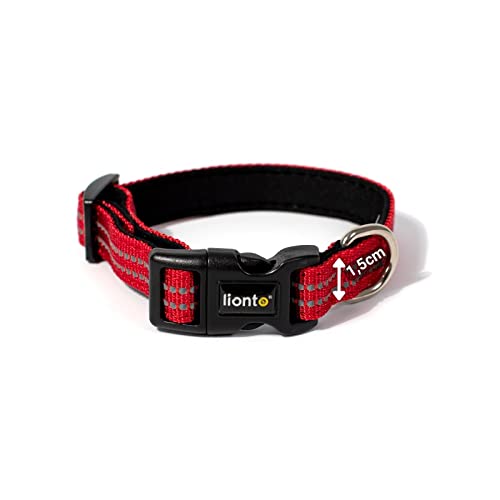 lionto Hundehalsband aus strapazierfähigem Nylon, Größe XS, weiches gepolstertes Halsband für Hunde, 360° reflektierend & Klickverschluss, Metallring & Anpassung durch stufenlosen Schieber, rot