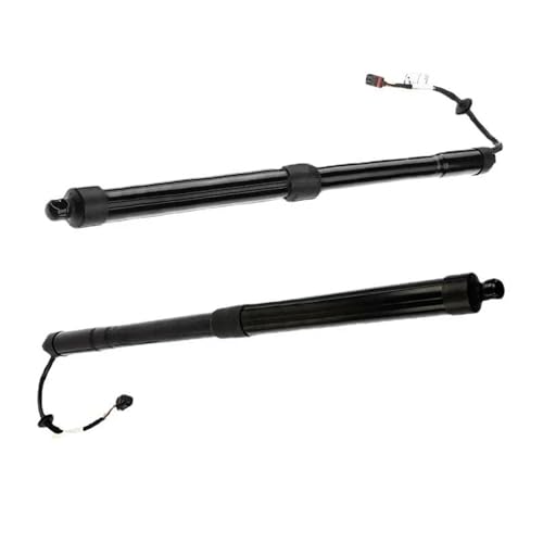 Amortisseur de vérin de coffre pour Hyundai Santa Fe 81771-B8100 81780-B8100