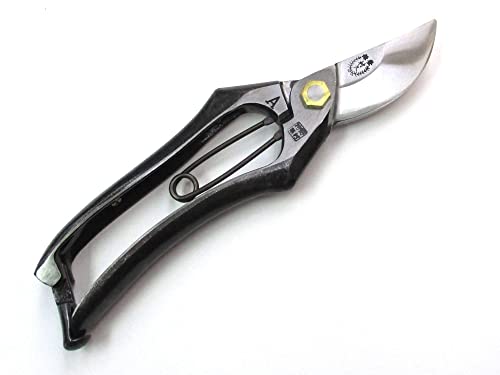  v 20cm A^ { ͂ ΂ 쑺