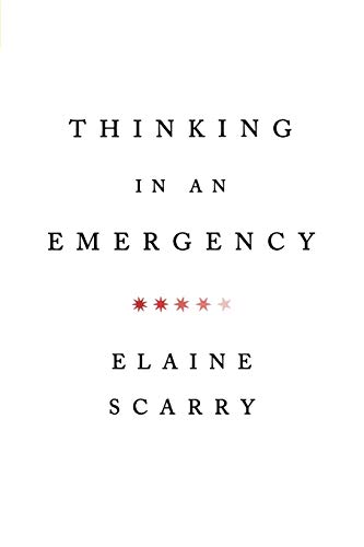 Thinking in an Emergency (Norton Global Ethics Series)