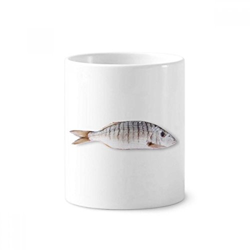 Tasse blanche céramique poisson de mer gobelet 350ml multifonction solide