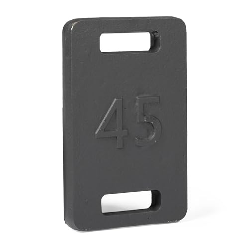 Titan Fitness 45 LB Cast Iron Ruck Weight Plate, Backpack Weight Training, Dual Wide Handles, Round Corners Smooth Edges, Ideal for Resistance Training, Strengthen Posture Stability