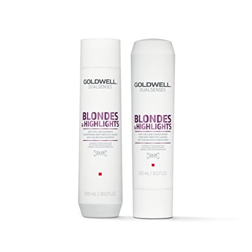 Dualsenses Silver Conditioner