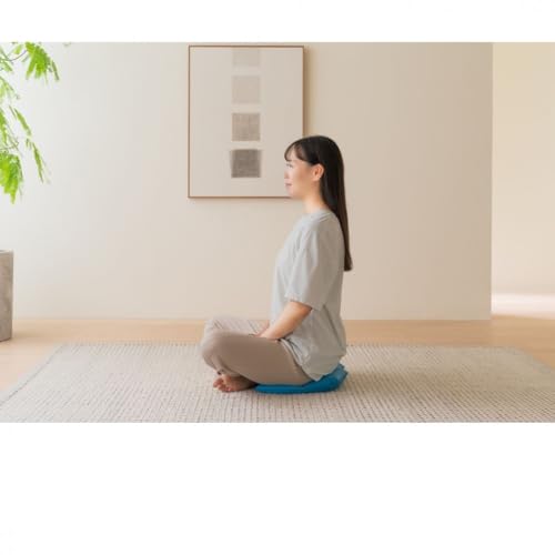 骨盤 クッション スイッチャー オフィスチェア