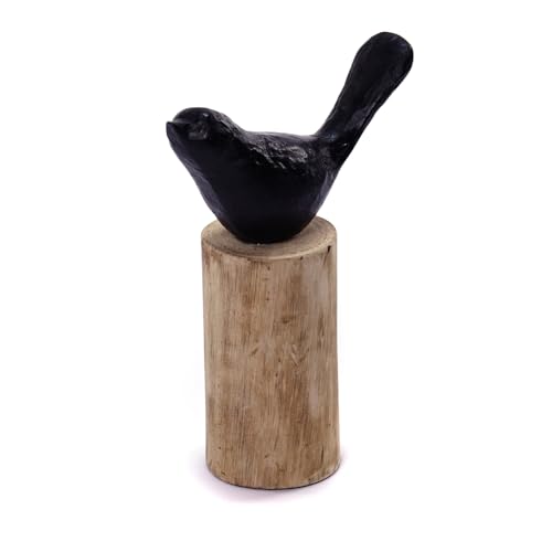 CREEDWOOD SKULPTUR Birdy III | Mangoholz, 22cm | Vogel Figur, Vogel Aufsteller auf Holz Stamm, Vogel auf Mango Holz Sockel, Deko Figur, Vogel Statue Baumstamm