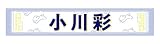 [乃木坂46] 個別マフラータオル/山下美月 卒業コンサート 小川彩