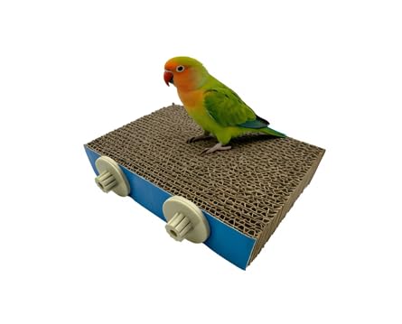 Shreddable Parrot Perch Toy, Cardboard Chewing & Foraging Platform for Beak Filing and Stress Relief in Cockatiels, Parakeets, Conures (Medium)