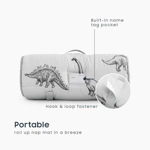 wake in cloud - toddler nap mat with pillow and blanket for kids boys girls in kindergarten daycare preschool pre k roll up sleeping bag jurassic dinosaur dino grey standard