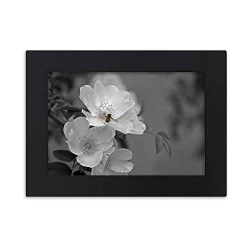 Ɣ̔ fXNgbvtHgt[摜ubŃA|pG7 x 9C`