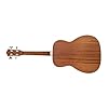 Chord | BOM-40: Electro Acoustic Short Scale Bass with Rich Sound and Compact EQ | Pro Level Playability & Sound Quality | Perfect for Unplugged Performances, Practice, or Travel #5