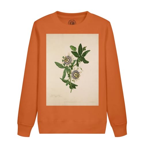 Sweatshirt enfant Passiflora caerulea chaud et résistant pour l'autonomie au quotidien