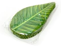 Amazon 人工桜葉 0枚 Tomiz Cuoca 富澤商店 花 葉 草 竹皮 経木 桜の花 桜の葉 Tomiz 飾り トッピング材料 通販