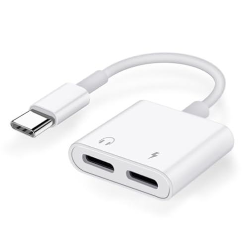 2in1 ^CvC Czϊ Cz ϊA_v^ ^Cvc 3.5MM CgjO Hi-Fi ʘb ʒ yΉ }[d  ʘb\ usb c@ɓKp (Type-C+Type-C)