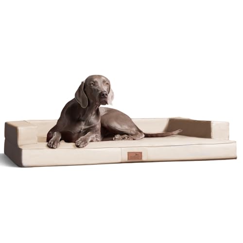 tierlando® Orthopädisches Hundesofa Gibson aus Kunstleder mit Visco-Matratze, kubisches Design, gelenkschonende Hundelounge mit Rutschfester Unterseite Größe: 120x90cm | Farbe: 05 Creme