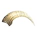 Megaraptor Dinosaur Claw (Recreation)