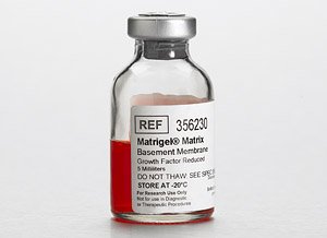 Corning Matrigel Basement Membrane Matrix- Growt h Factor Reduced (GFR)- LDEV-Free- 10 mL, EA1