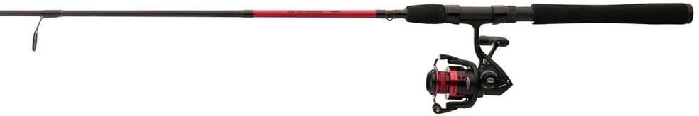 Penn Fierce IV Spinning Reel and Fishing Rod Combo