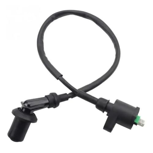Bobine d'allumage haute tension pour moteur GY6 125CC et ATV