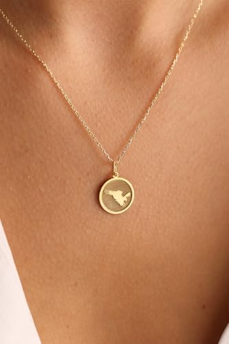 Colgante de halcón para cumpleaños un regalo de joyería de plata inolvidable 4