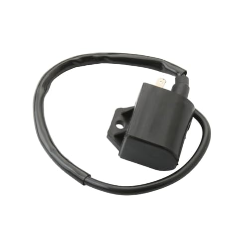 Bobine d'allumage pour Suzuki King Quad et Eiger 400 33410-41D20