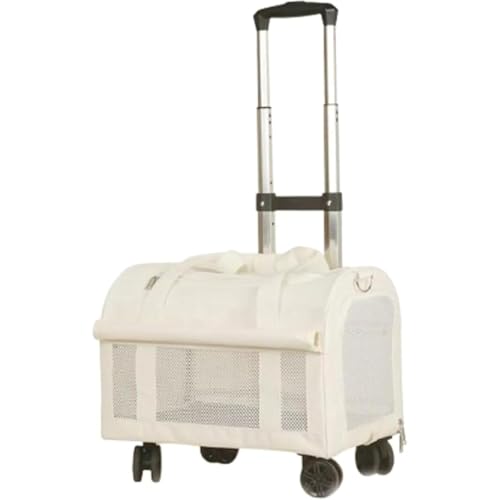 ConutooL L[obO ybgobO 傫 y 2Cp e ybgL[ LX^[t  ybg o  L 4 2C L L[P[X 萫 ʋC  ybgL[ bN e hCu s O 