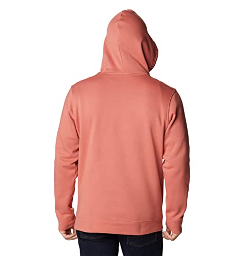Image of Columbia mens Trek Hoodie