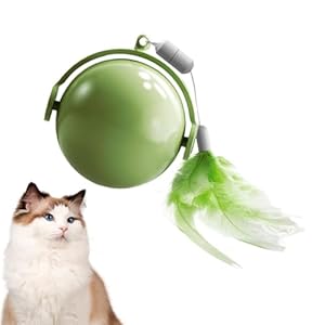 Generisch Interaktiver Katzenball WUSTDJ