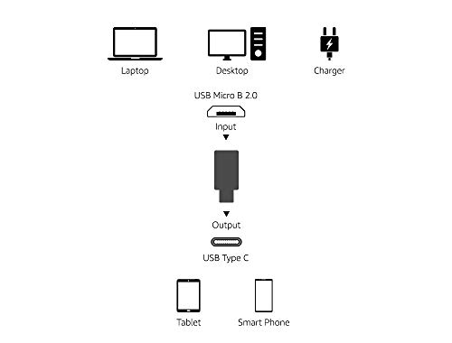 https://m.media-amazon.com/images/I/31Pv++FCC0L._SL500_.jpg