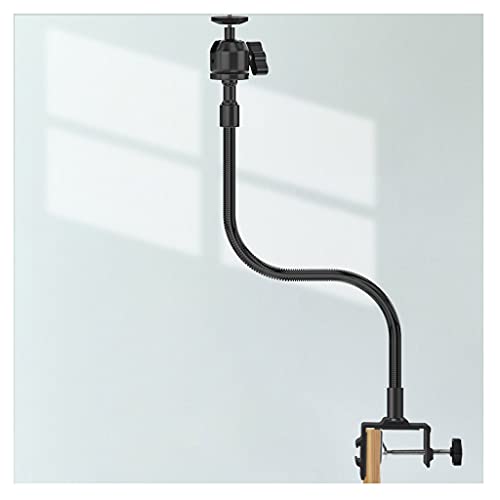 mengli-99 vWFN^[X^h O[XlbN vWFN^[X^h }`AO R]  |[^u xbhTCh fXNgbv vWFN^[X^h ω׏d 11.4|h vWFN^[uPbg (TCY: 27.6C`)