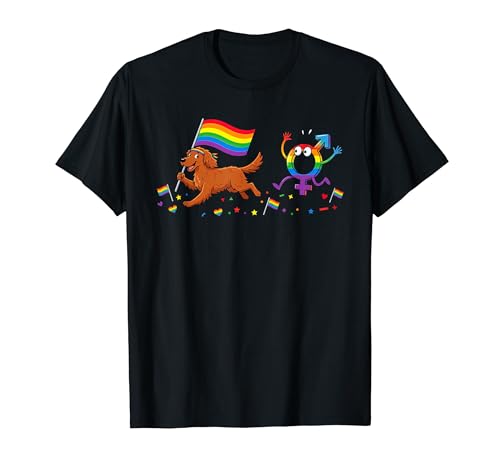 Funny Irish Setter LGBT ���C���{�[ ���Y�r�A�� �Q�C �v���C�h ���� �j�� T�V���c