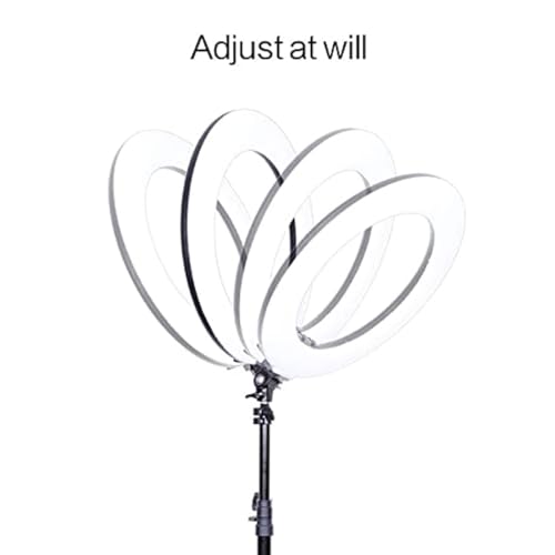 Image of GIFTMAX 18 Inch LED Ring Light with Stand | 2 Color Modes & Dimmable Brightness | Remote Control | for YouTube, Makeup, Vlogging, Video Shoot, Live Streaming | Compatible with iPhone & Android
