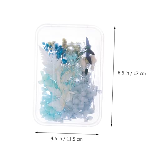 Kit de flores secas para manualidades Cabilock miniatura 2