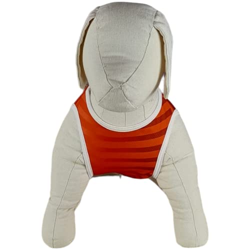 Camiseta Regata para Pet Personalizada do Internacional 1 (Personalizado, M)